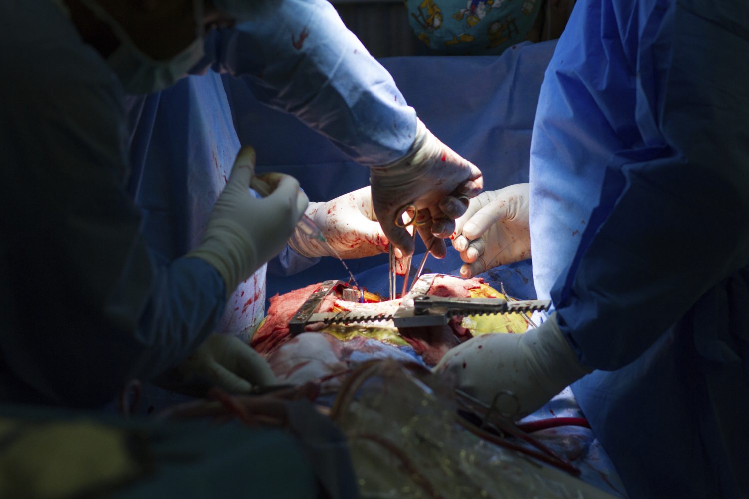 children-of-refugees and migrants support